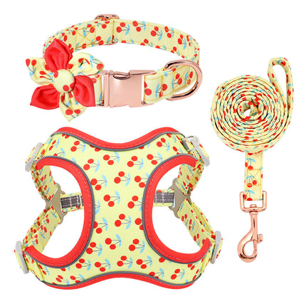 Small Dog Teddy & Corgi Collar with Leash & Strap – Durable & Adjustable | Petpexi