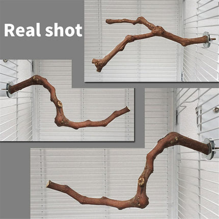Bird Standing Stick – Natural Grape Wood Habitat for Parrots | PetPexi