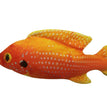 Electric Sapphire Fish