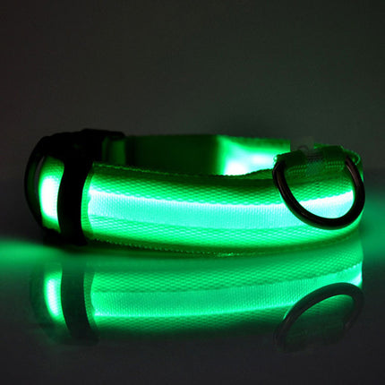 Safety LED Dog Collar with Tracker – Waterproof Light-Up Adjustable Collar | Petpexi