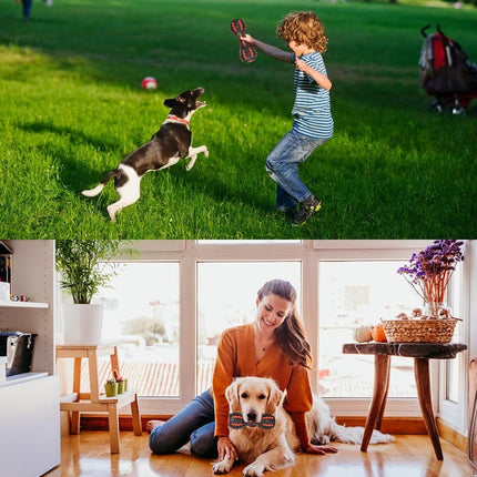 Dog Squeaky Toys For Aggressive Chewers | Durable Rubber Dumbbell Chew Toys – www.petpexi.com