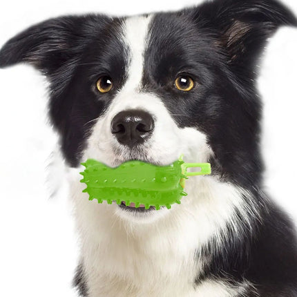 Interactive Dog Teething Chili Chewers Toy – PetPexi