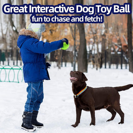 Dog Squeaky Toy for Aggressive Chewers – Interactive Durable Fetch Ball | www.petpexi.com