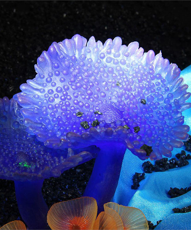 Simulation Coral Plants for Aquarium Decoration – Durable & Realistic | PetPexi