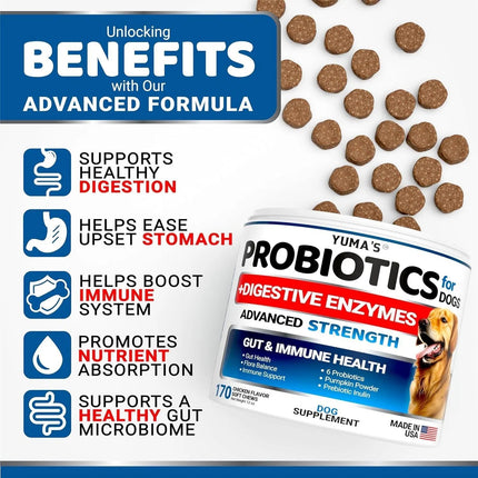 2 Pack Probiotics For Dogs & Digestive Enzymes Chews - Anti-Diarrhea, Upset Stomach, Gas Relief - 340 Chews - Fast & Free Shipping to the USA | www.petpexi.com