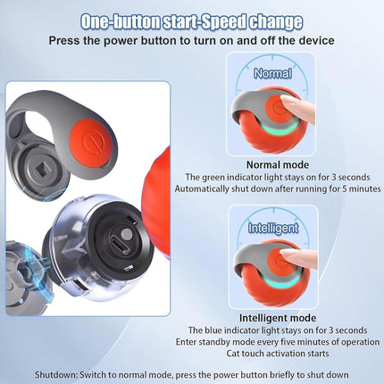 Speedy Tail Interactive Cat Toy – Dual Speed USB Rechargeable Rolling Ball | Petpexi