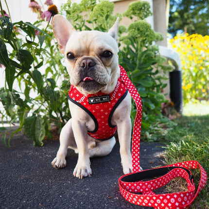 Ins Dog Pet Breathable Mesh Leash Chest Harness – Red Letter Design | PetPexi
