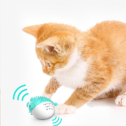 Mint Fish Cat Chew Toy – Silicone Teaser & Tooth-Cleaning Play Toy | Petpexi