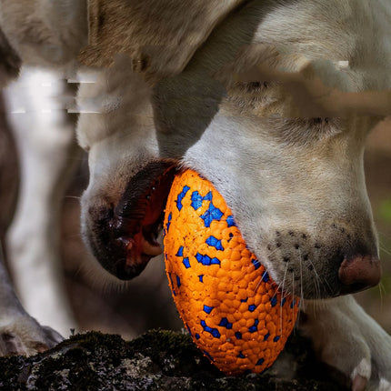 Teeth-Resistant Pet Dog Chewing Toy Football – Durable Interactive Chew Ball | www.petpexi.com