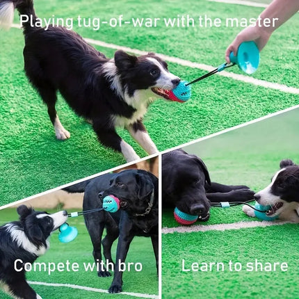 Dog Toy for Aggressive Chewers, Interactive Teething, Boredom-Relieving Suction Cup Tug-of-War