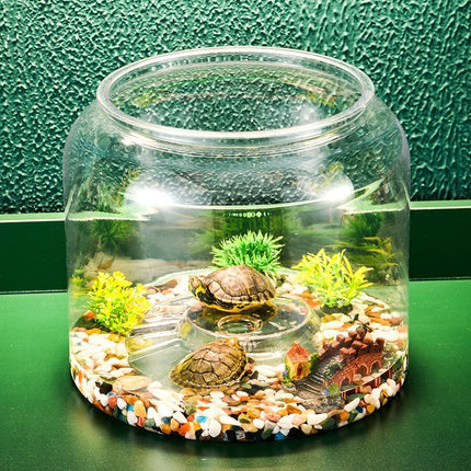 Transparent Plastic Ecological Desktop Landscaping Feeding Fish Tank – Large with Lid | PetPexi