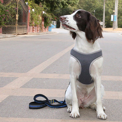 Dog Leash Vest Pet Harness Bullfight, adjustable polyester chest strap from petpexi.com, ideal for French Bulldogs, puppies, and all breeds.