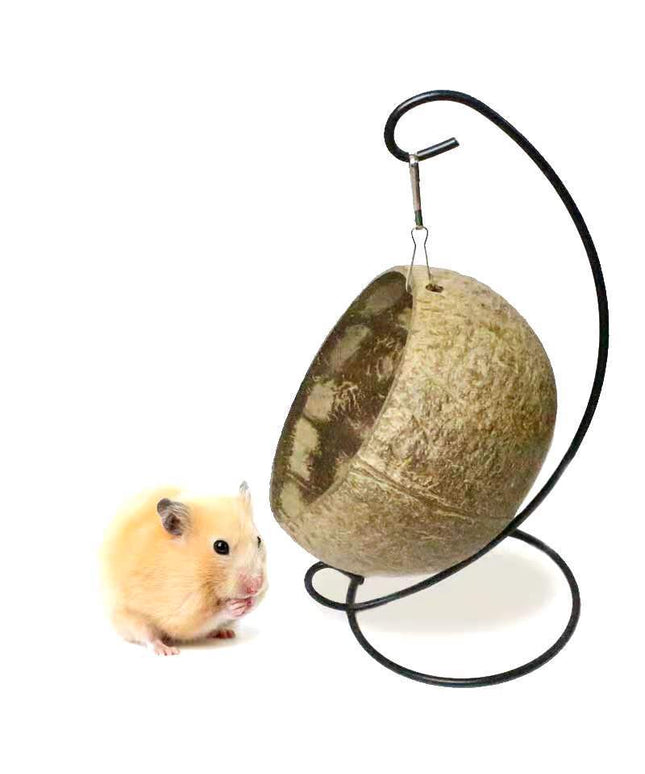 Hamster Toys Guinea Pig Golden Bear Hanging Nest Cotton Nest Bedroom – Coconut Shell Nest – Free & Fast Shipping to the USA!