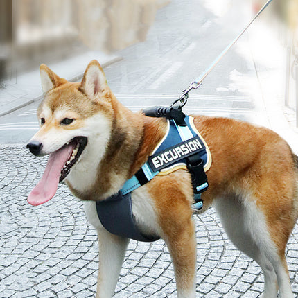 Hiker Dog Leash Vest Type Chest Harness from petpexi.com, perfect for French Bulldogs and all breeds, ideal for hiking and training.