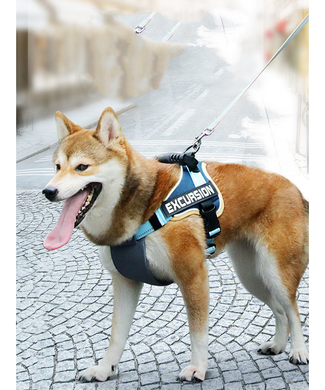 Hiker Dog Leash Vest Type Chest Harness from petpexi.com, perfect for French Bulldogs and all breeds, ideal for hiking and training.
