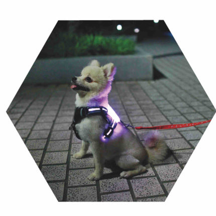 LED Luminous Anti-lost Anti-car Accident Warning Flashing Dog Harness from petpexi.com, ideal for French Bulldogs and all breeds for safe, stylish walks.