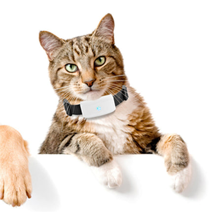 New Pet GPS Tracking Locator with Waterproof IP66 and Real-time Tracking from www.petpexi.com

