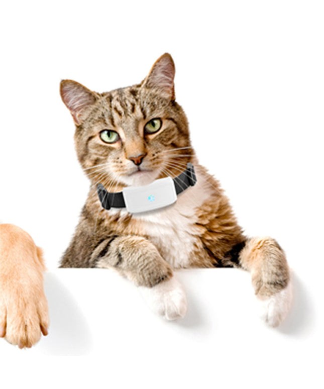 New Pet GPS Tracking Locator with Waterproof IP66 and Real-time Tracking from www.petpexi.com

