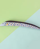 Polka dot flower eel