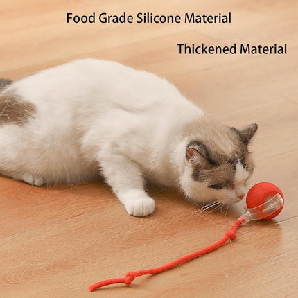 Smart Rolling Ball Toy for Dogs & Cats – Interactive 360° Motion with Rope | petpexi.com