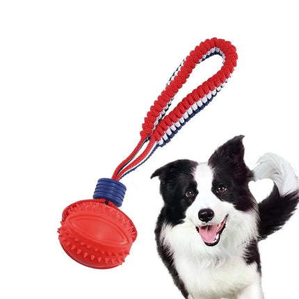 Interactive Dog Chew Ball with Rope – Teething & Training Toy | petpexi.com