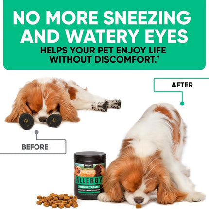 Kinpur Pet Care Natural Dog Allergy Chews for Itchy Skin & Hot Spots - 180 Treats