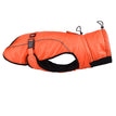 Orange / 2XL