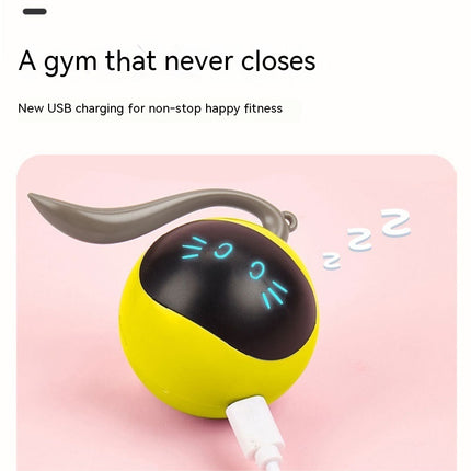 Cat Toy Electric Toy Ball – Interactive Play for Happy Cats | Petpexi