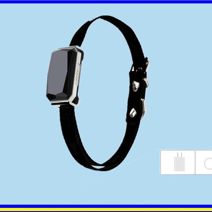 Pet Locator Beidou GPS Collar for Puppy & Cat – Multifunctional Anti-Lost Smart Tracker | www.petpexi.com