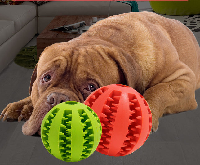 Rubber Watermelon Ball - Durable Pet Dog Toy for Chewing & Play | Petpexi