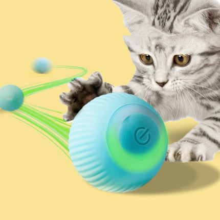 USB Rechargeable Gravity Electric Rolling Ball – Interactive Cat Toy | Petpexi