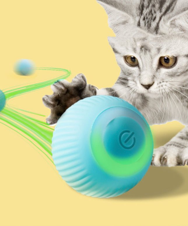 USB Rechargeable Gravity Electric Rolling Ball – Interactive Cat Toy | Petpexi