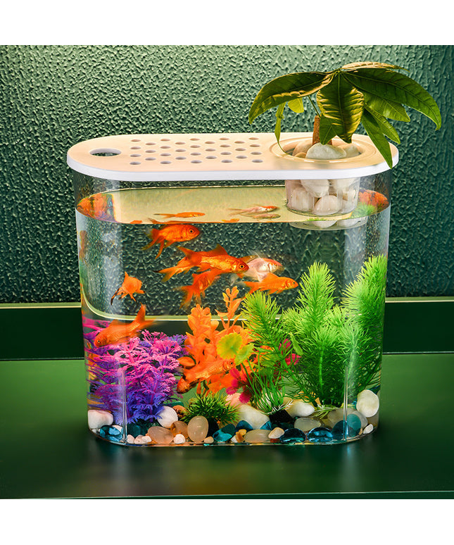 Medium acrylic transparent ecological goldfish tank with hydroponic and soil options for a stylish home aquarium

