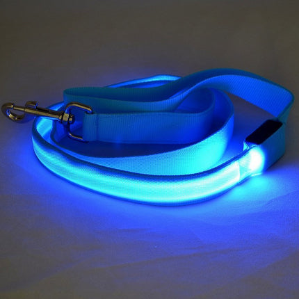 LED Luminous Traction Belt Dog Leash – Durable Nylon, Bright Colors, Perfect for Safe Night Walks – Fast & Free Shipping at www.petpexi.com