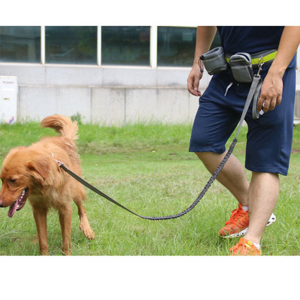 Adjustable dog leash set with waist belt and pouch, reflective hands free design – petpexi.com