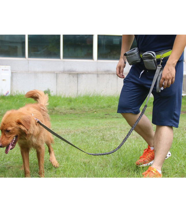 Adjustable dog leash set with waist belt and pouch, reflective hands free design – petpexi.com