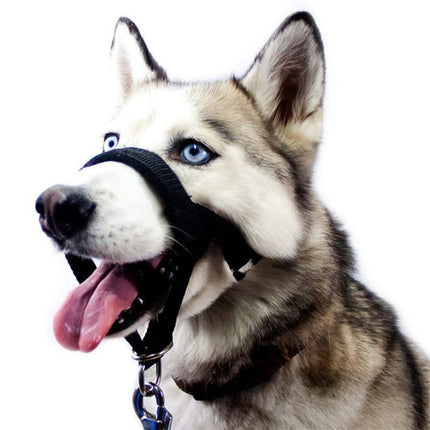 Adjustable nylon dog muzzle anti-bite mask by PetPexi – durable, comfortable fit with free, fast shipping in the USA

