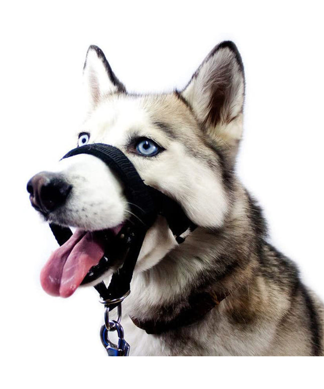 Adjustable nylon dog muzzle anti-bite mask by PetPexi – durable, comfortable fit with free, fast shipping in the USA


