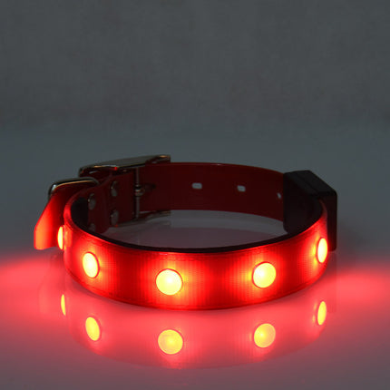 Luminous Waterproof Adjustable Cat and Dog Collar – Bright TPU Safety Collar | Petpexi