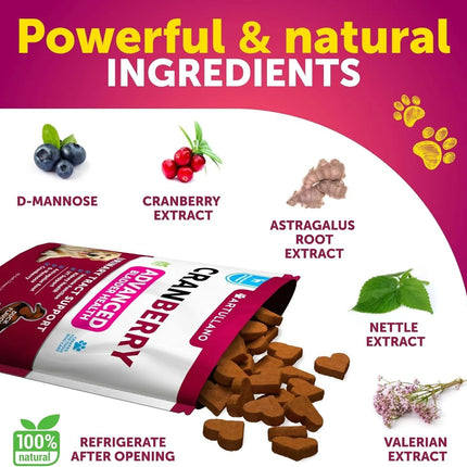 Dog UTI Treatment Cranberry Supplement – Bladder Control & Kidney Support – 70 Soft Chews for Dogs