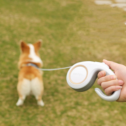 Petpexi Automatic Retractable Dog Leash with non-slip handle and 3 meter rope in multiple colors for comfortable dog walking