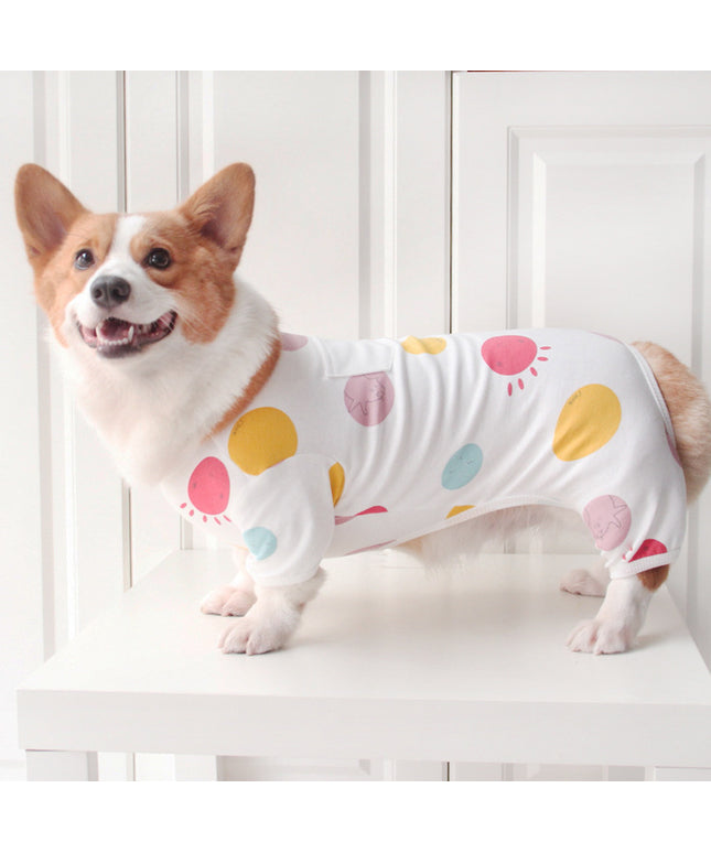 Small dog wearing cozy cotton autumn and winter pajamas from Petpexi – warm sleepwear for small and medium dogs with fast USA shipping

