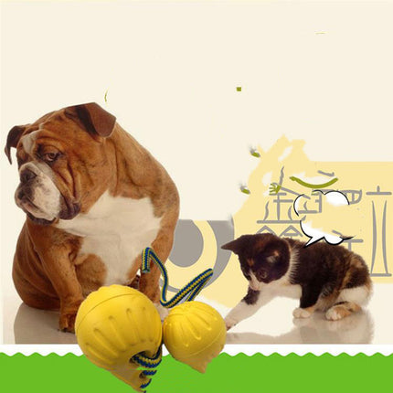 EVA Floating Pet Dog Training Ball with Rope - Durable Chew Toy | Petpexi