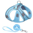 Blue / L