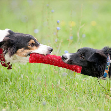 Durable Dog Bite Stick – Creative Tug Chew Stick for Teeth Cleaning | www.petpexi.com
