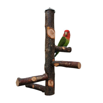 Parrot Bird Wood Stand Pole Toy – Stylish & Practical Apple Wood Stand | Free USA Shipping at PetPexi