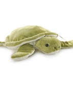 Turtle fifteen centimeters