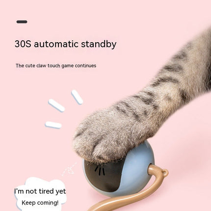Cat Toy Electric Toy Ball – Interactive Play for Happy Cats | Petpexi