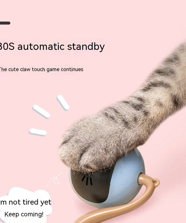Cat Toy Electric Toy Ball – Interactive Play for Happy Cats | Petpexi