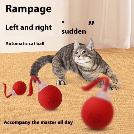 Interactive Cat Toy Ball – Super Drive Rolling Ball with Chirping & 3 Modes | Petpexi